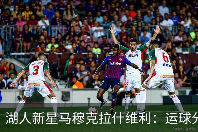 湖人新星马穆克拉什维利：运球分球双能手，八村塁有点吃亏！