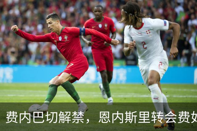 费内巴切解禁，恩内斯里转会费如期到账！