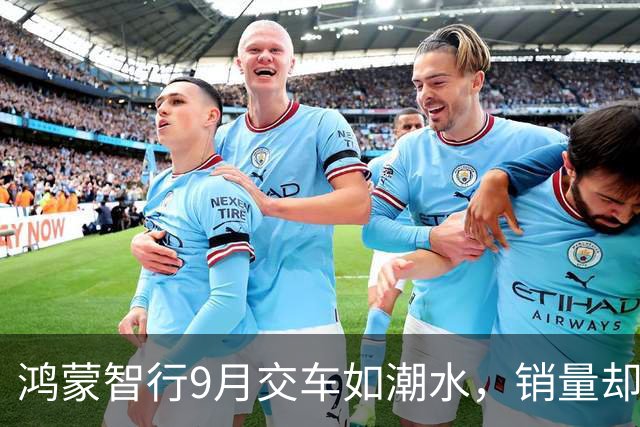 鸿蒙智行9月交车如潮水，销量却像秋风落叶